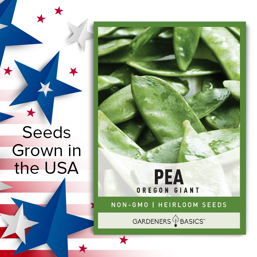 Plant, Grow, Harvest: The Complete Guide to Oregon Giant Pea Seeds