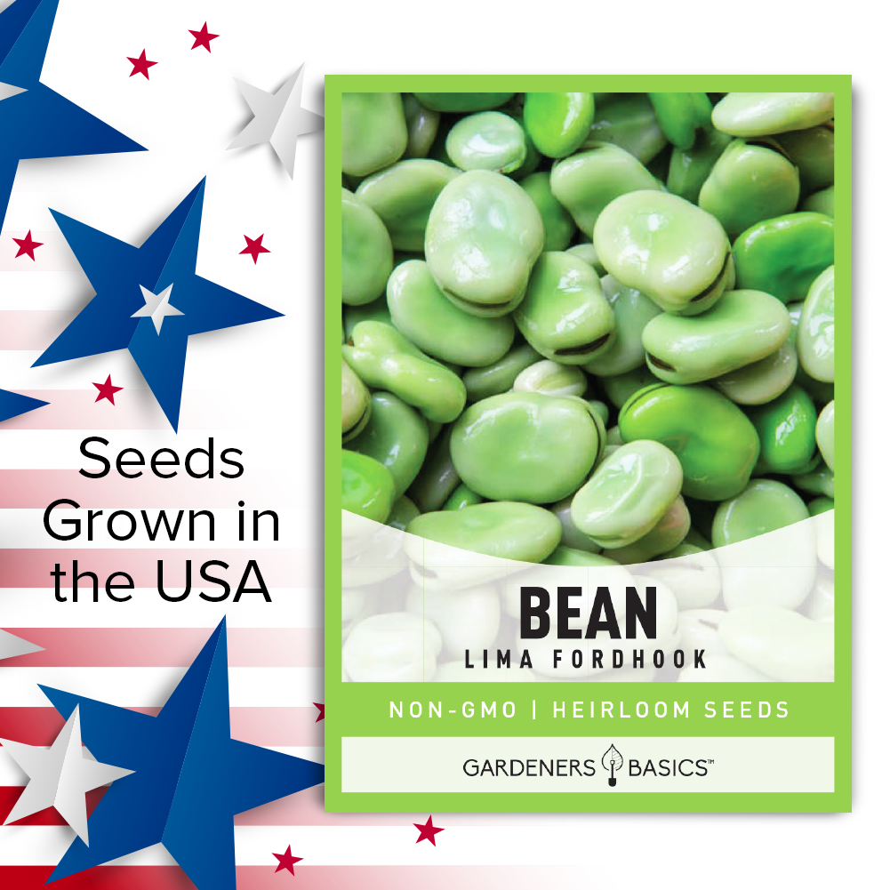 Boost Your Garden's Productivity with Fordhook Lima Bean Seeds