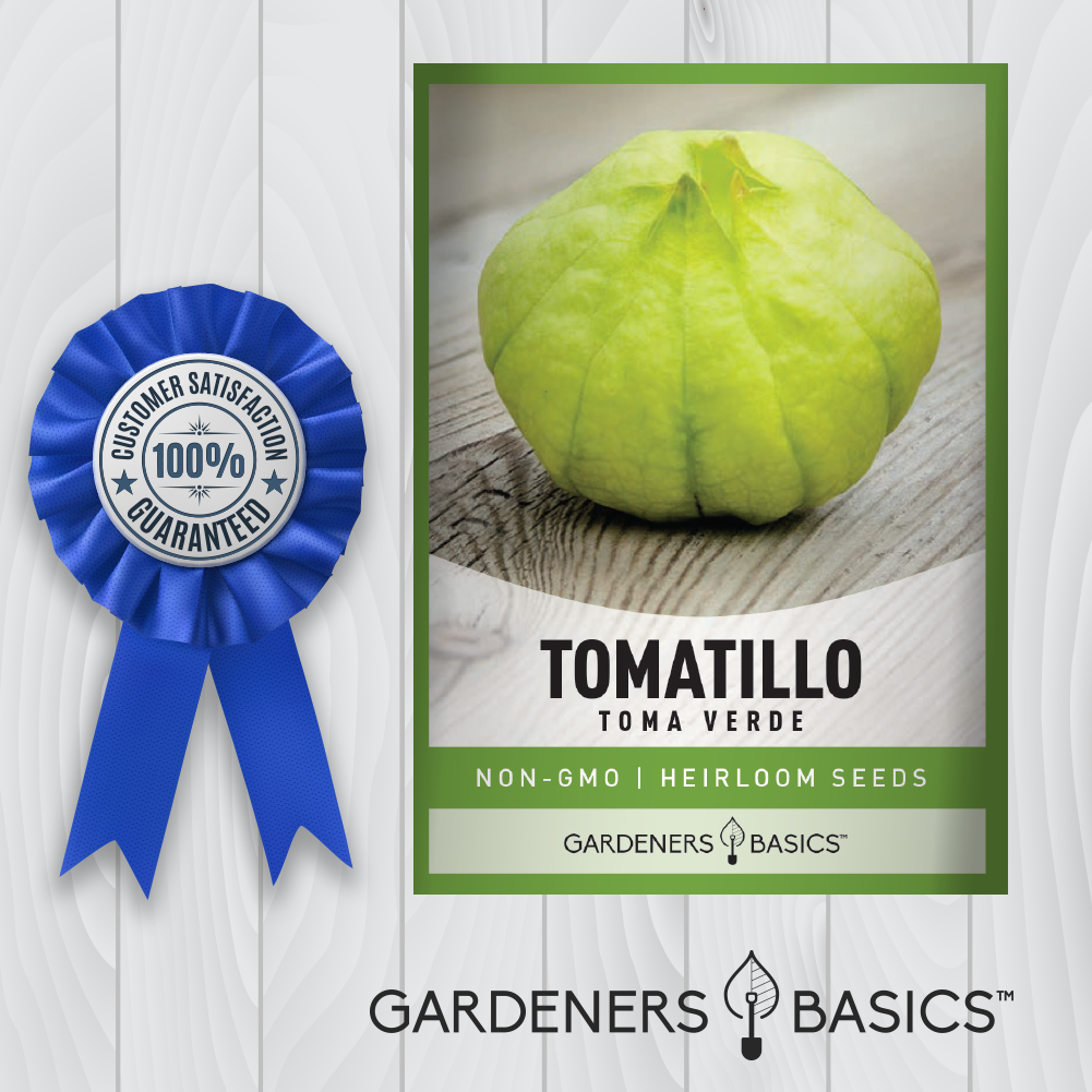 Toma Verde Tomatillo Seeds - Grow Your Own Flavorful Southwestern Ingredients