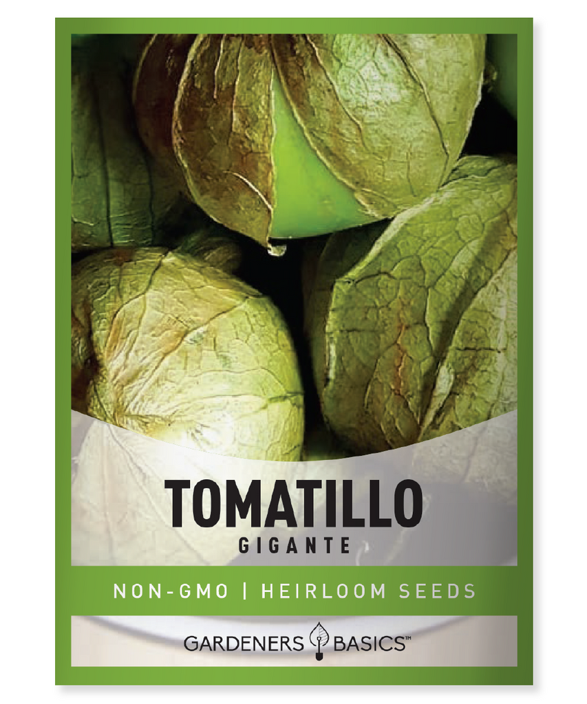 Gigante Tomatillo Tomato Seeds For Planting Non-GMO Tomato Seeds For Home Vegetable Garden