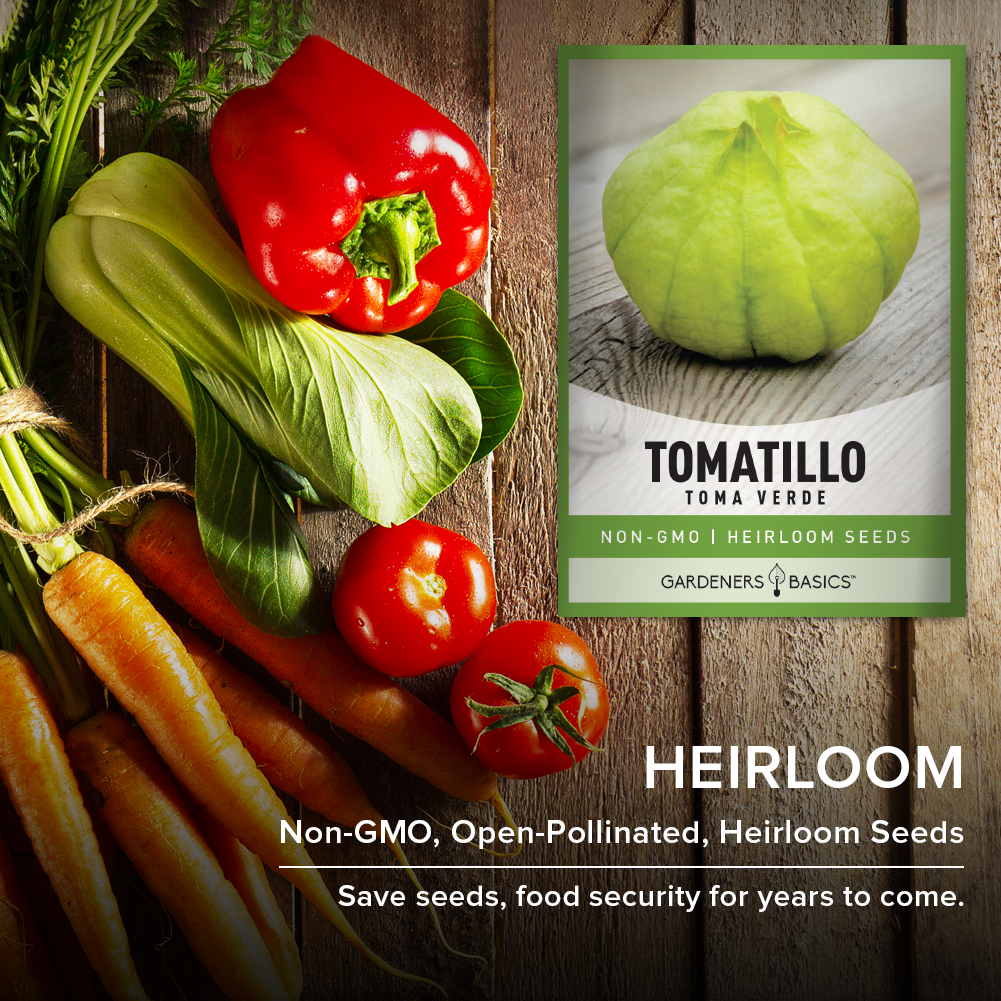 Homegrown Flavor: Toma Verde Tomatillo Seeds for Your Garden