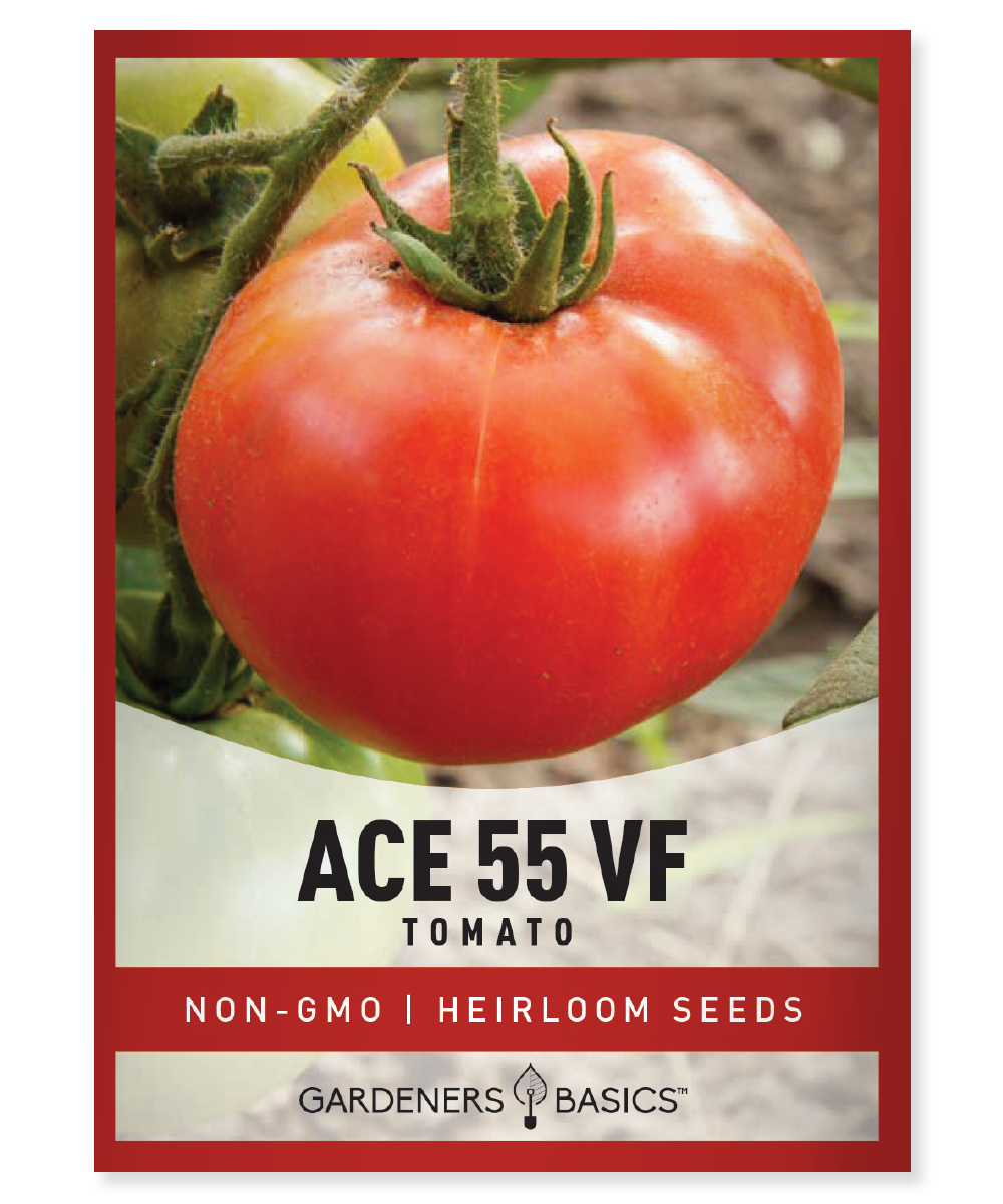 Ace 55 Tomato Seeds - Heirloom, Non-GMO High-Yield & Disease