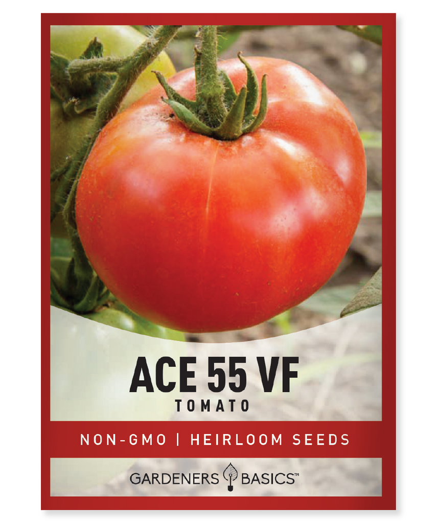Ace 55 Tomato Seeds - Heirloom, Non-GMO, Open-Pollinated Tomatoes for Home Gardens