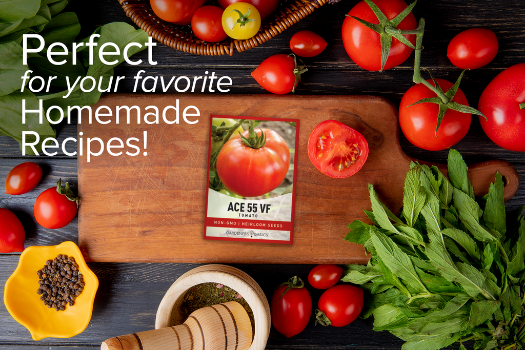 Ace 55 Tomato Seeds - Non-GMO, Disease-Resistant, and Easy to Grow at Home
