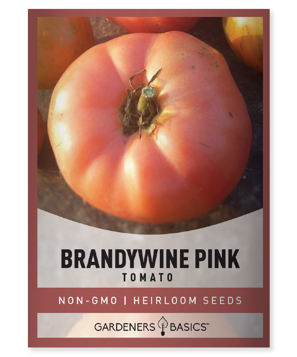 Brandywine Pink Tomato Seeds – Gardeners Basics