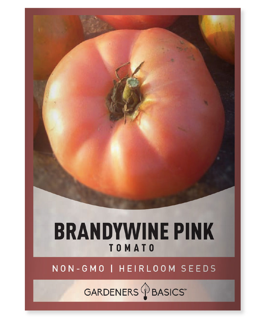 Brandywine Pink Tomato Seeds For Planting Heirloom Non-GMO Seeds For Home Vegetable Garden