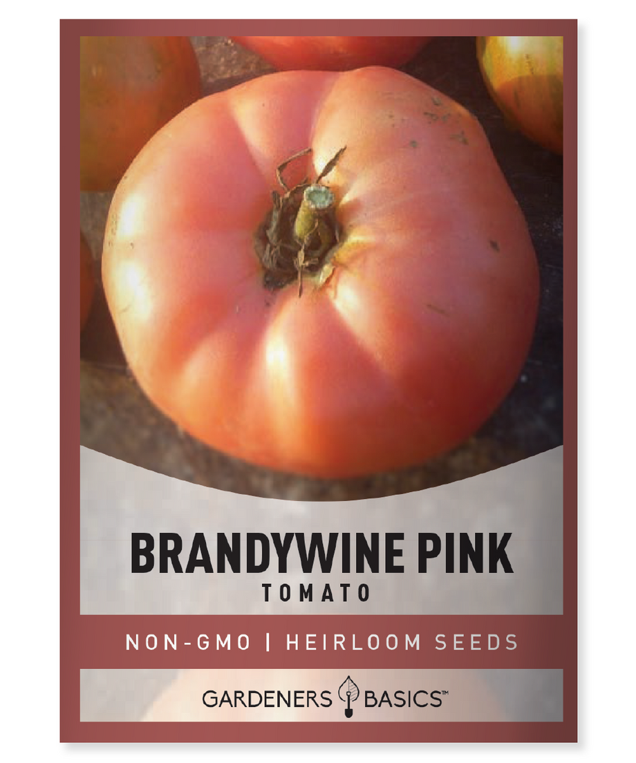rosada tomato seeds for sale Brandywine Pink Tomato Seeds – Gardeners Basics