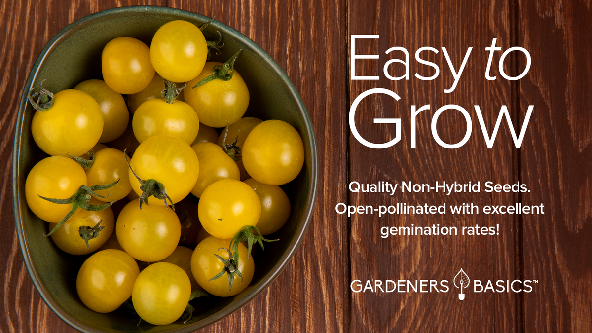Golden Jubilee Tomato Seeds For Planting Non-GMO Seeds For Home Vegetable Garden Easy To Grow