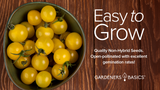 Golden Jubilee Tomato Seeds For Planting Non-GMO Seeds For Home Vegetable Garden Easy To Grow
