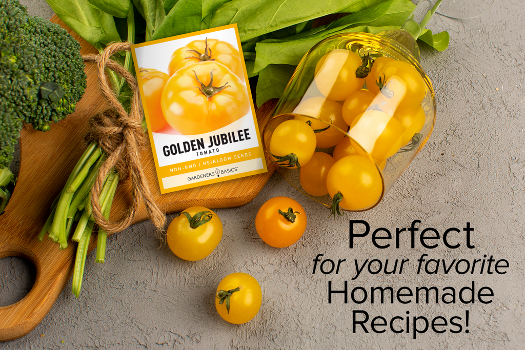 Golden Jubilee Tomato Seeds For Planting Non-GMO Seeds For Home Vegetable Garden Homemade Recipes