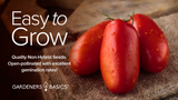 San Marzano Tomato Seeds For Planting Non-GMO Seeds For Home Vegetable Garden Easy To Grow