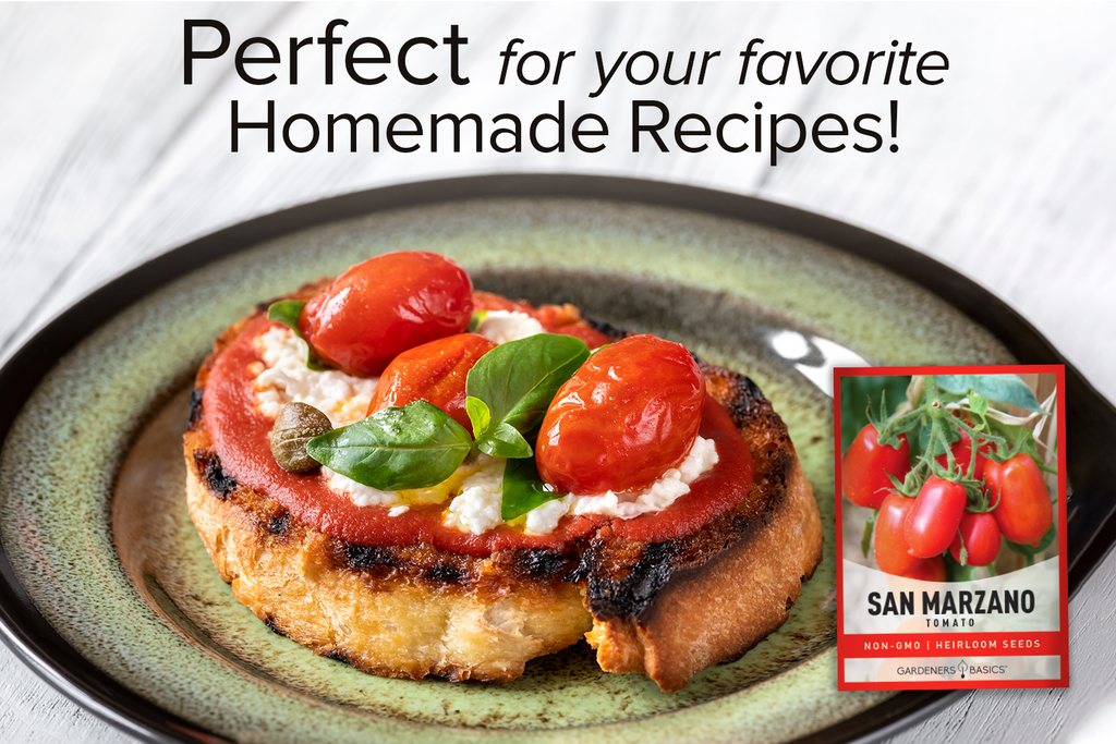 San Marzano Tomato Seeds For Planting Non-GMO Seeds For Home Vegetable Garden Homemade Recipes