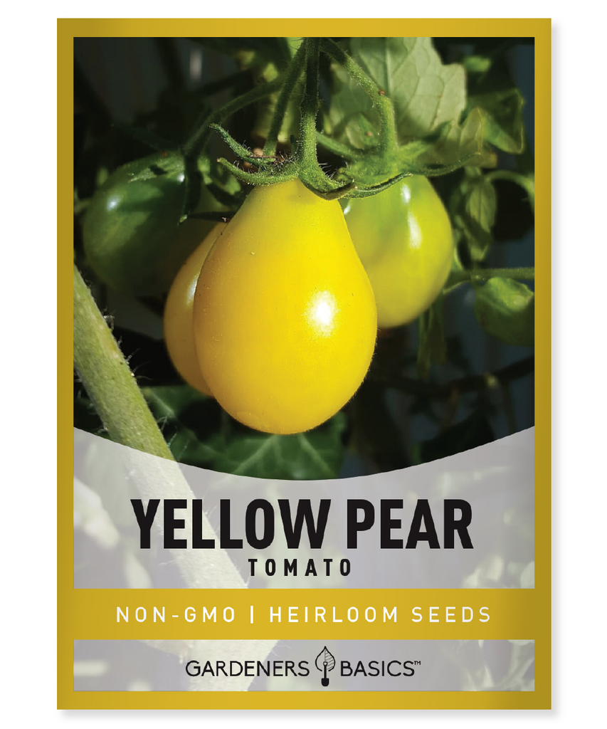 Yellow Pear Tomato Seeds For Planting Non-GMO Seeds For Home Vegetable Garden