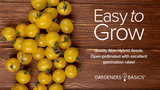 Yellow Pear Tomato Seeds For Planting Non-GMO Seeds For Home Vegetable Garden Easy To Grow