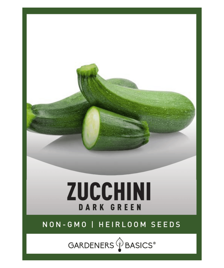 Dark Green Zucchini Seeds Zucchini Seeds for Planting Non-GMO Zucchini Seeds Organic Vegetable Gardening High Germination Rate Easy-to-Grow Squash Seeds Nutrient-Rich Zucchinis Garden-to-Table Produce Sustainable Agriculture Homegrown Zucchini Recipes