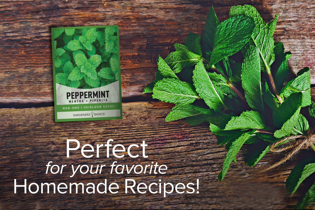 Easy-to-Grow Peppermint Seeds for Indoor & Outdoor Gardens