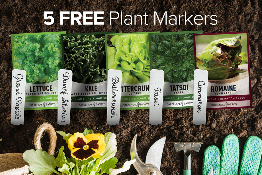 best seeds for hydroponic garden Hydroponic Seeds For Planting Planting Indoors and Outdoor 5 Variety P