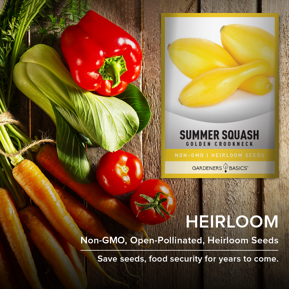 The Ultimate Guide to Growing Golden Crookneck Summer Squash