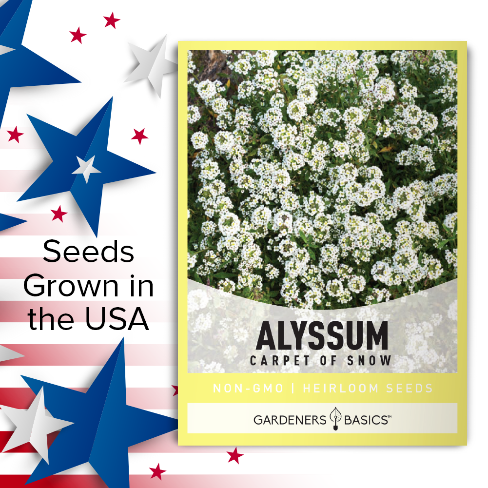 Carpet of Snow Dwarf Alyssum Seeds: A Versatile Choice for Your Landscape