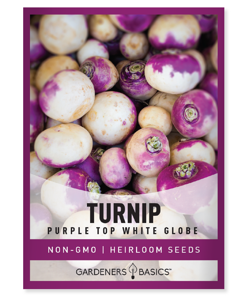 Purple Top White Globe Turnip Seeds Heirloom Turnip Seeds Non-GMO Turnip Seeds Turnip Seeds for Planting Turnip Seeds for Sale Vegetable Garden Seeds Homegrown Turnips Easy-to-Grow Turnip Seeds Nutritious Turnip Varieties Organic Turnip Seeds