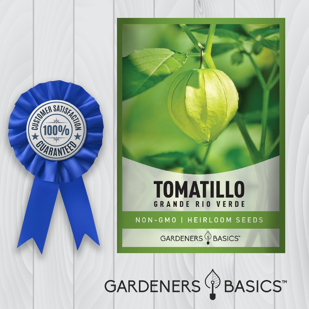 Grande Rio Verde Tomatillo Seeds For Planting Non-GMO Tomato Seeds For Home Garden
