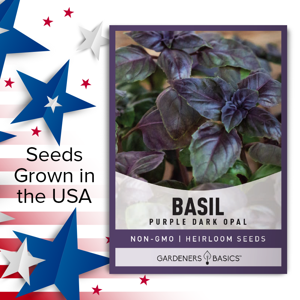 Bring a Touch of Elegance to Your Garden with Dark Opal Basil Seeds