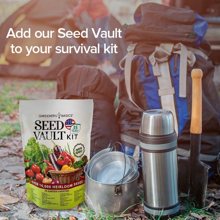 Vegetable Seed Vault Kit | 35 Variety Pack