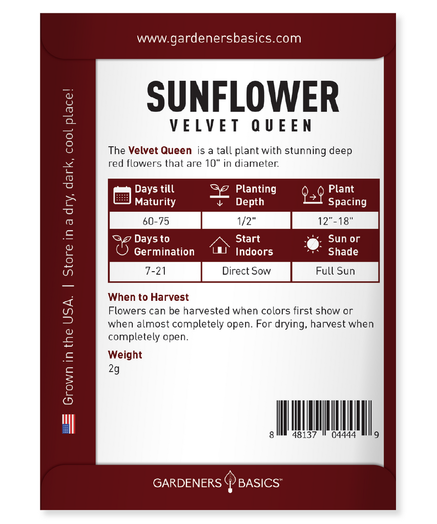 Helianthus annuus Velvet Queen: Red Sunflowers for a Royal Garden