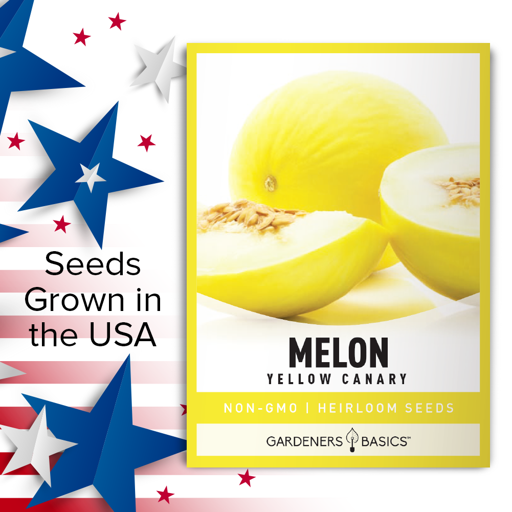 Grow the Perfect Summer Snack with Yellow Canary Melon Seeds