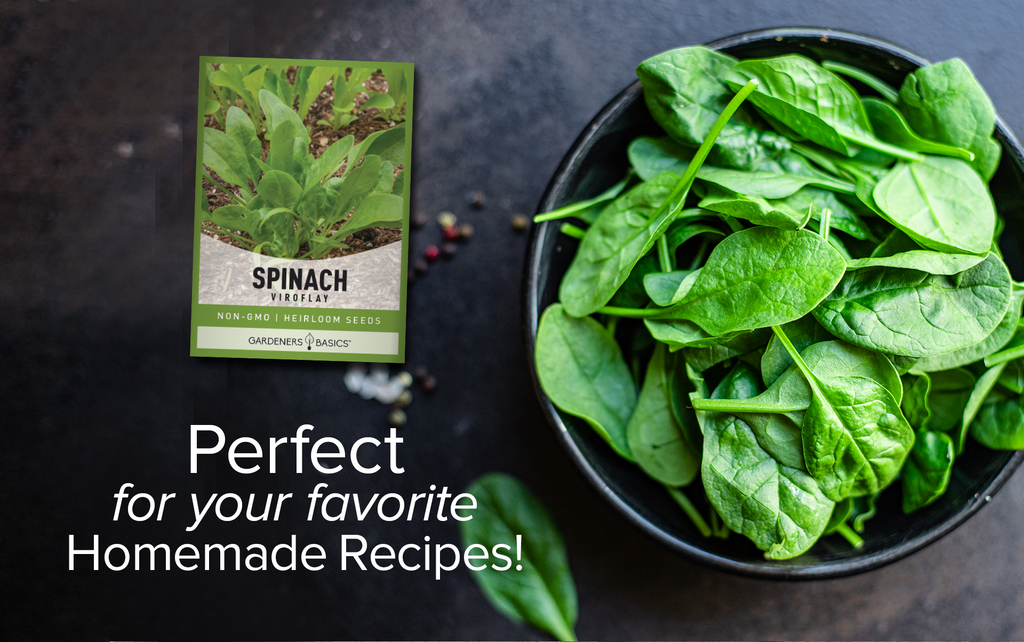 Grow Your Own Superfood with Viroflay Spinach Seeds