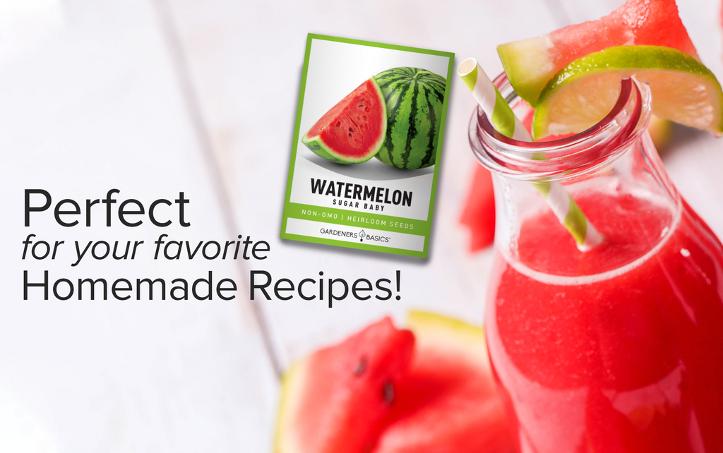 Sugar Baby Watermelon Seeds For Planting Non-GMO Seeds For Home Fruit Garden Homemade Recipes