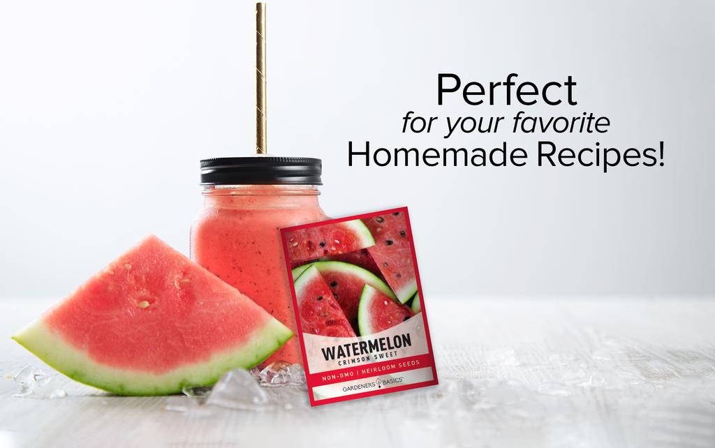 Crimson Sweet Watermelon Seeds For Planting Non-GMO Seeds For Home Fruit Garden Homemade Recipes
