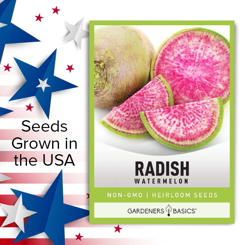 Best Heirloom Watermelon Radish Seeds for a Healthy Lifestyle