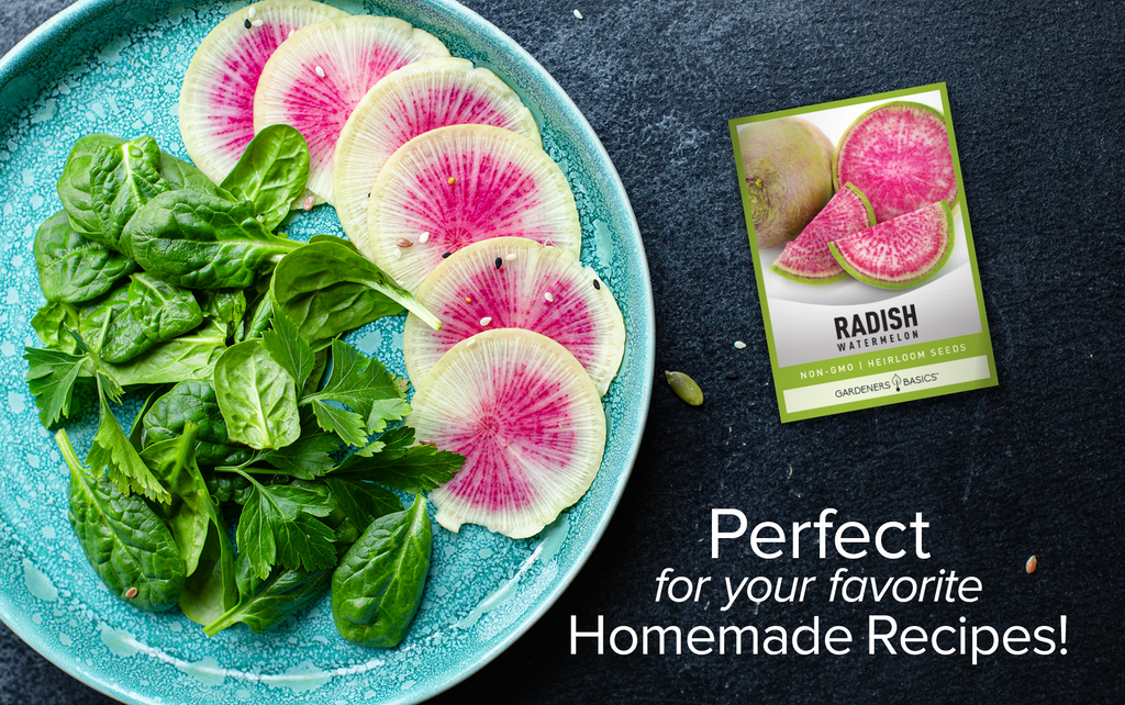 Watermelon Radish Seeds: Unique, Tasty & Nutritious Garden Addition