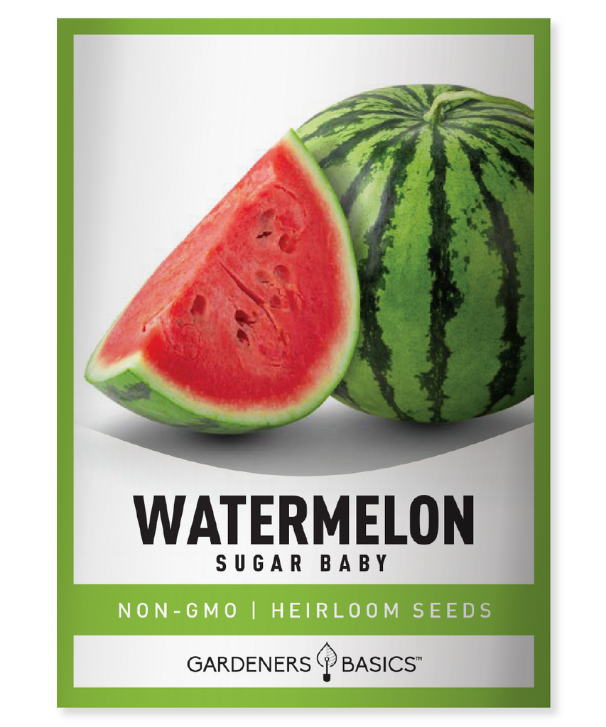 Sugar Baby Watermelon Seeds For Planting Non-GMO Seeds For Home Fruit Garden