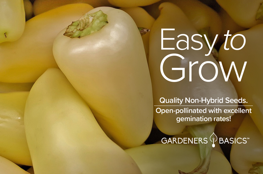 White Habanero Seeds for Planting: Unleash the Heat with These Exquisite Peppers