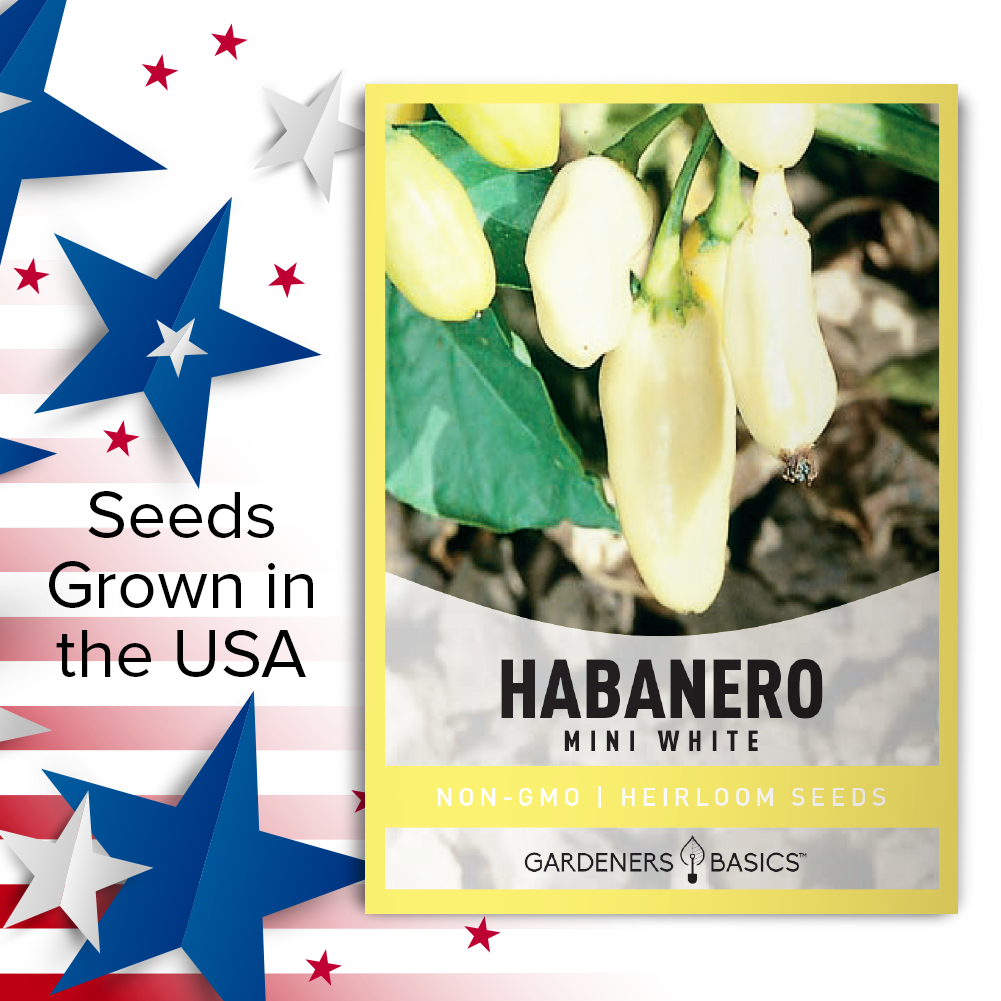 White Habanero Seeds for Planting: The Perfect Blend of Taste and Spiciness
