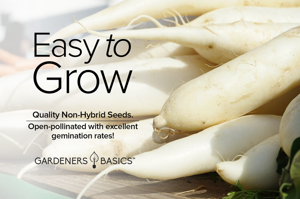 White Icicle Radish Seeds: Add Color and Flavor to Your Garden