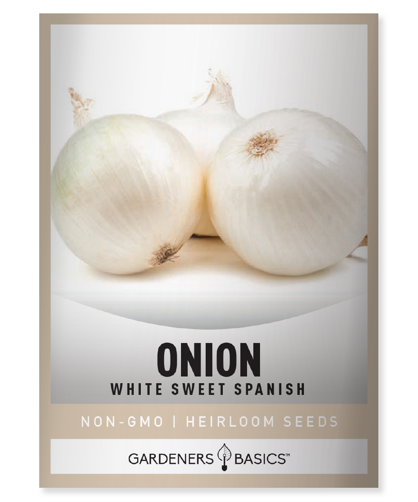 White Sweet Spanish Onion Seeds Onion Seeds Homegrown Onions White Onions Sweet Onions Mild Onions Garden Onions Onion Seed Varieties Onion Gardening Vegetable Seeds