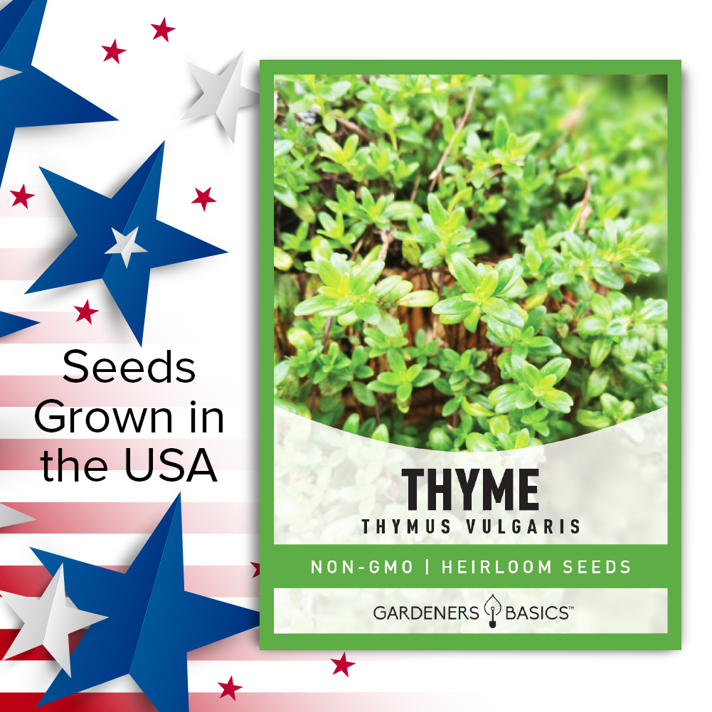 Growing Winter Thyme Seeds: Tips and Tricks for a Bountiful Harvest
