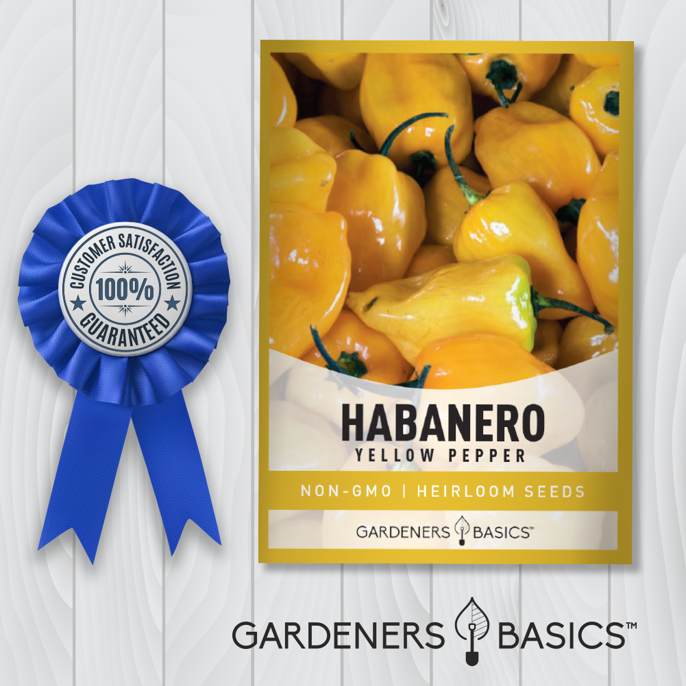Yellow Habanero Pepper Seeds: Tips and Tricks for a Successful Harvest