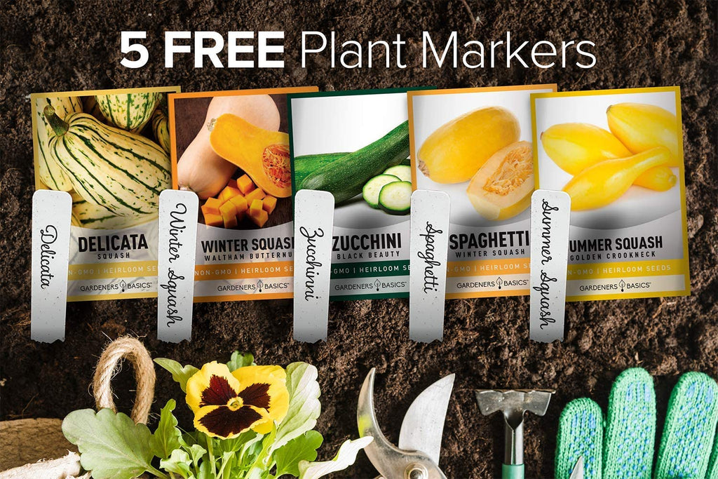 Get the Best Squash Harvest with our 5-Seed Set: Zucchini, Delicata, Butternut, Spaghetti, Golden Crookneck