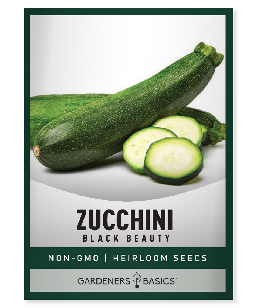 Black Beauty Zucchini Seeds For Planting Home Vegetable Garden Seeds