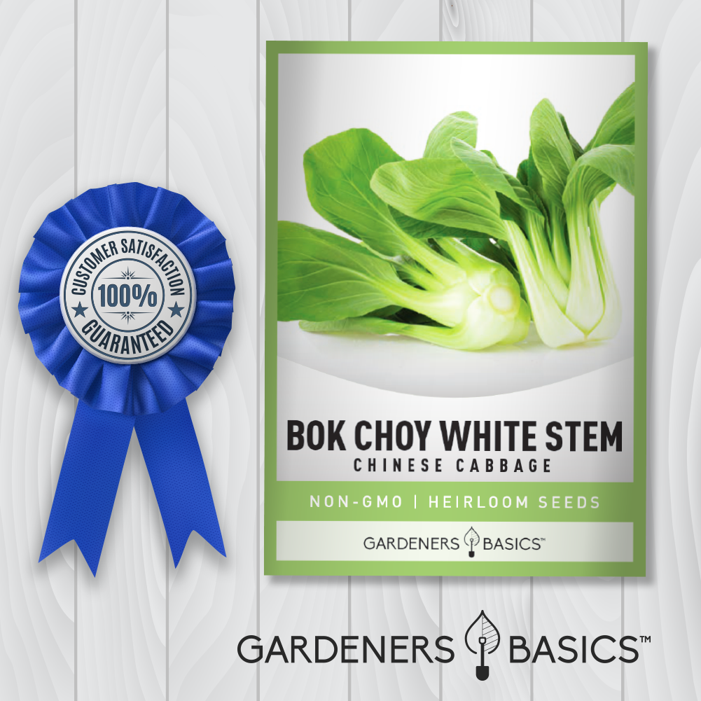 Grow Your Own Pak Choi: High Germination Bok Choy Seeds