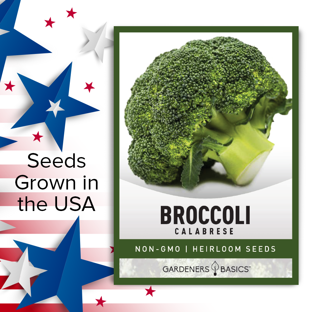 Savor the Flavor of Homegrown Calabrese Broccoli with Our Premium Seeds