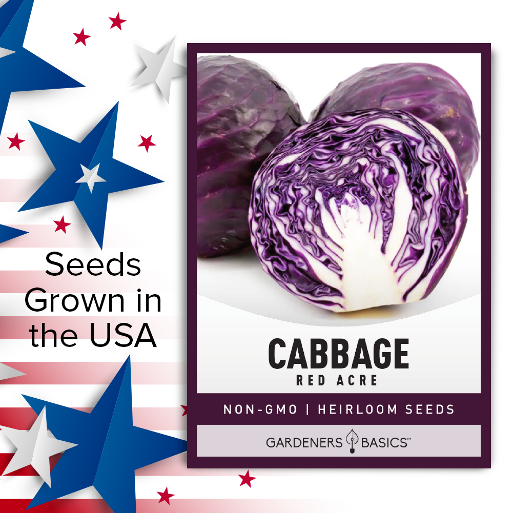 Top-Grade Red Acre Cabbage Seeds - Easy-to-Grow & High Germination Rates