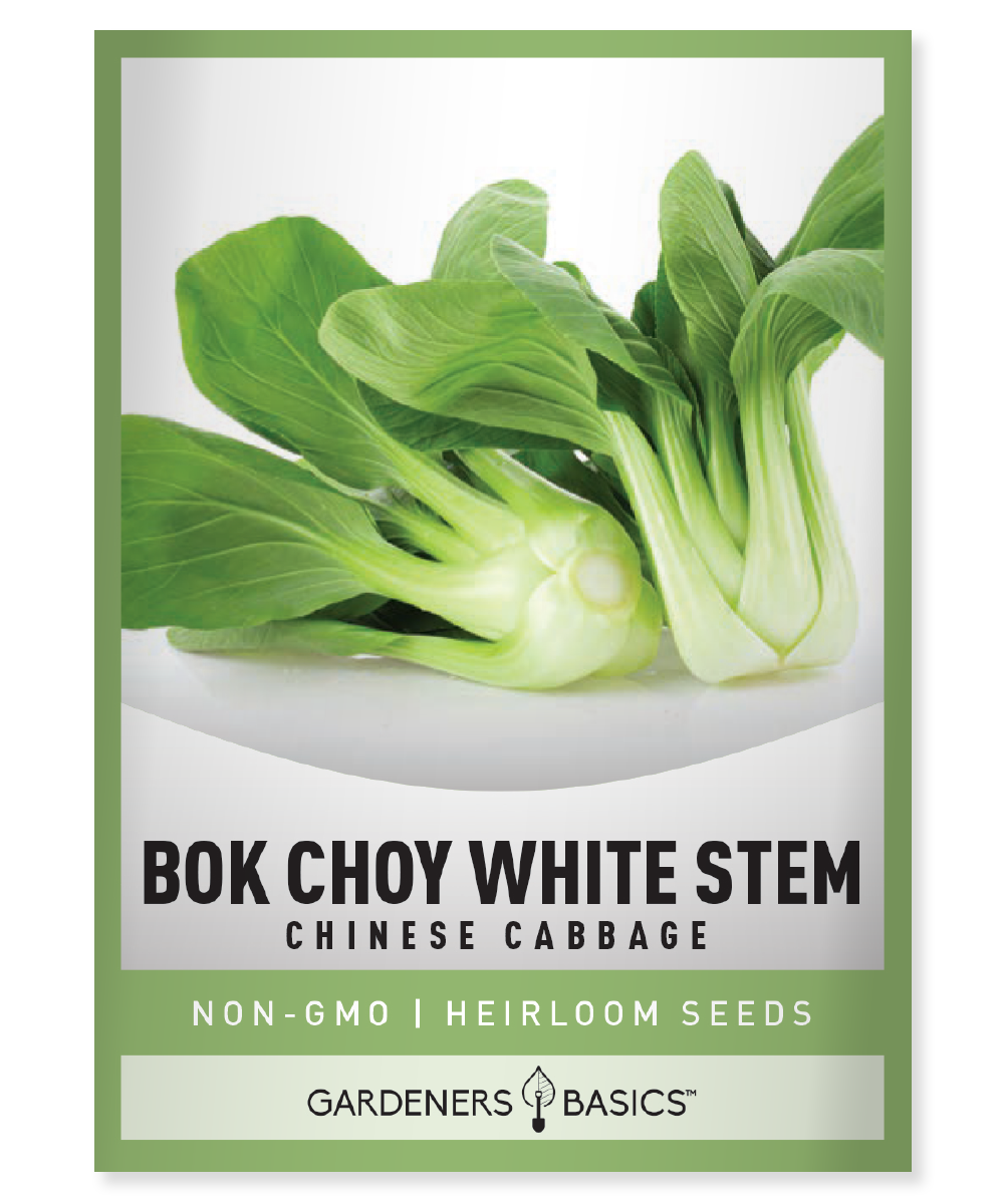 Chinese Cabbage Seeds White Chinese Bok Choy Pak Choi Cabbage Seeds Chinkang Dwarf Seeds Pechay I.1049379519 Chinese Cabbage Seeds White Chinese Bok Choy Pak Choi Cabbage Seeds Chinkang Dwarf Seeds Pechay I.1049379519