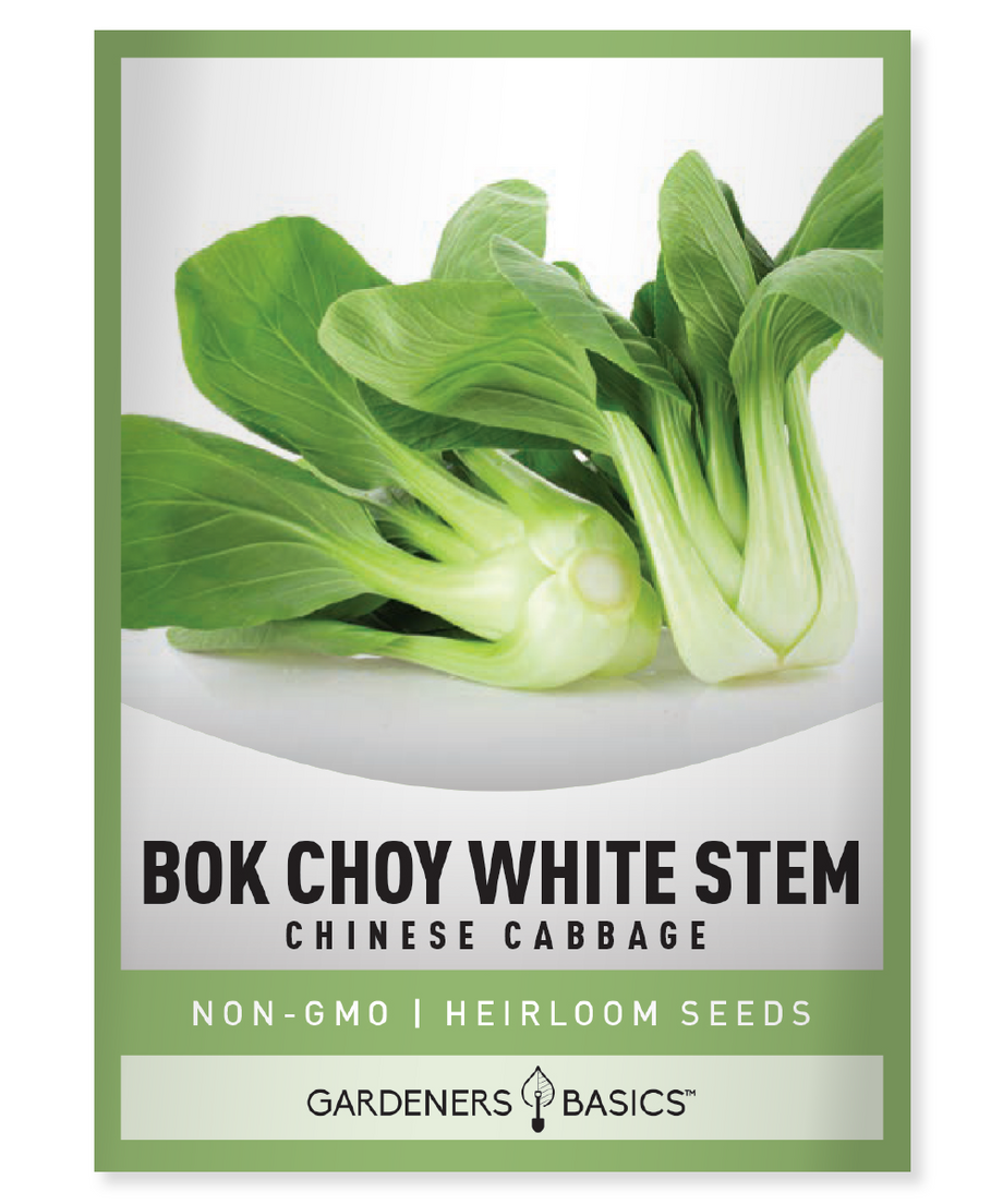 chinese garden seeds Bok Choy Chinese Cabbage Seeds for Planting