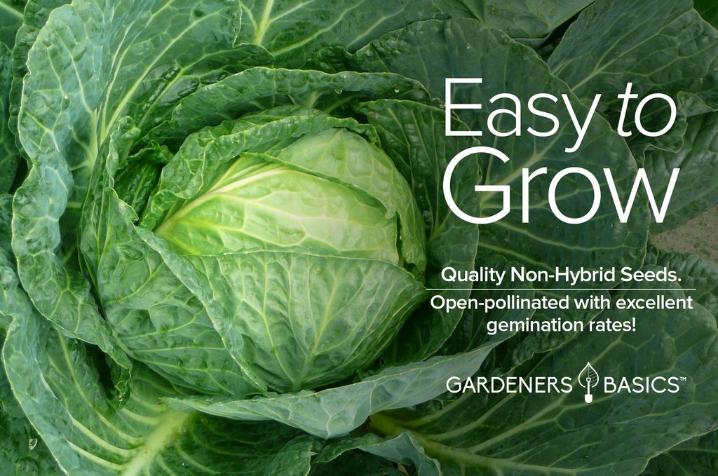 The Ultimate Guide to Planting Early Copenhagen Market Cabbage Seeds
