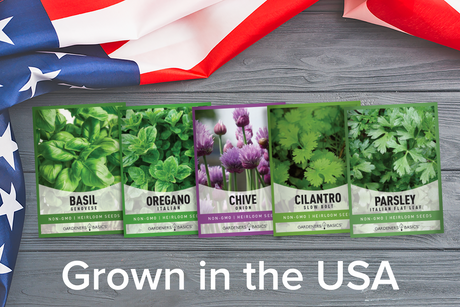 Culinary Herb Seeds Variety Kit Non-GMO Seeds For Planting Home Herb Garden USA